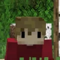 skippr